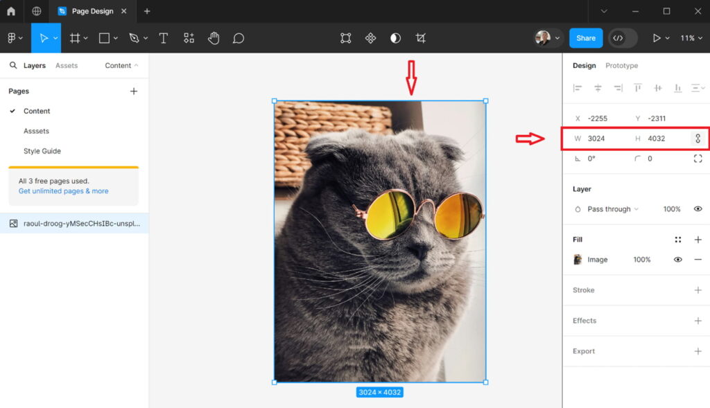 Cat image in Figma