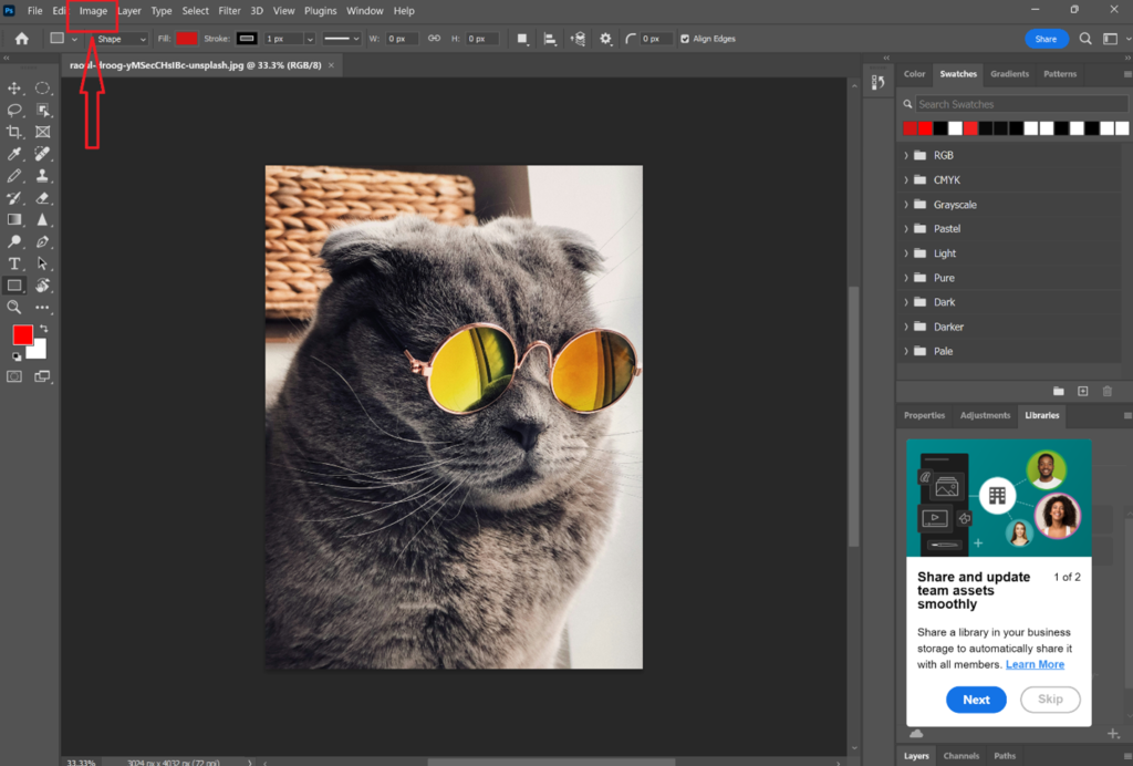 image of cat in Adobe Photoshop before image optimizing